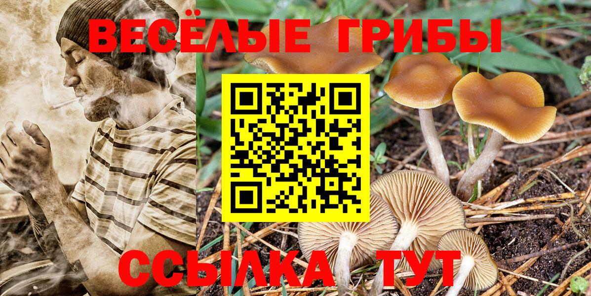 Нефтекамск  Псилоцибиновые грибы мицелий  Вход с VPN 